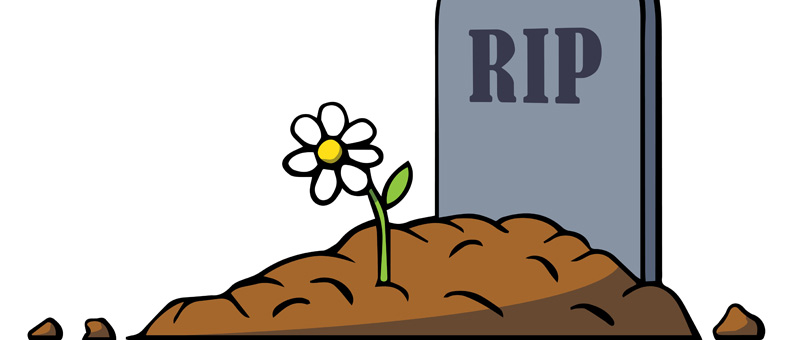 cartoon image of a daisy growing on a grave